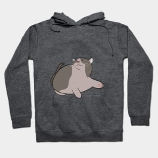 Chonky cat relaxing Hoodie